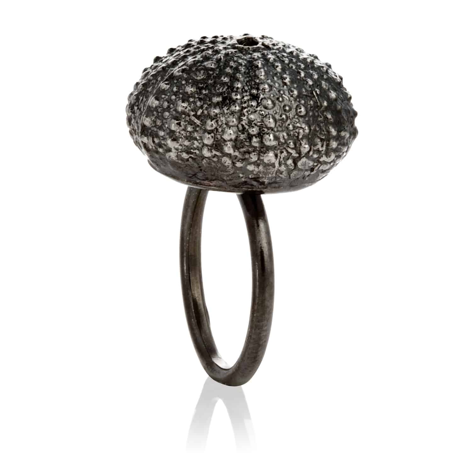 Anillo Erizo