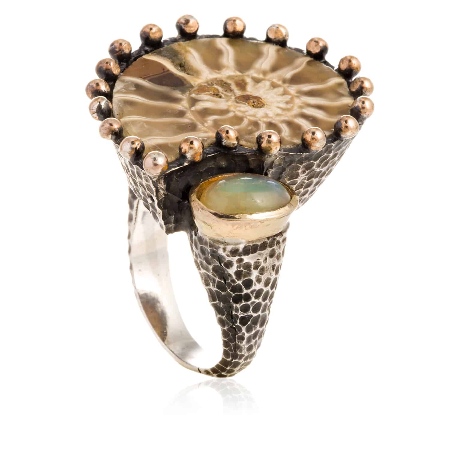 Anillo Ammonite Argi
