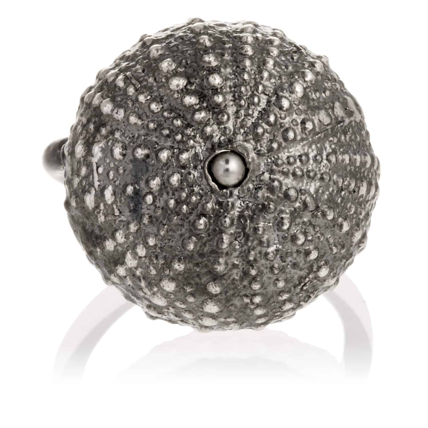 Anillo Erizo