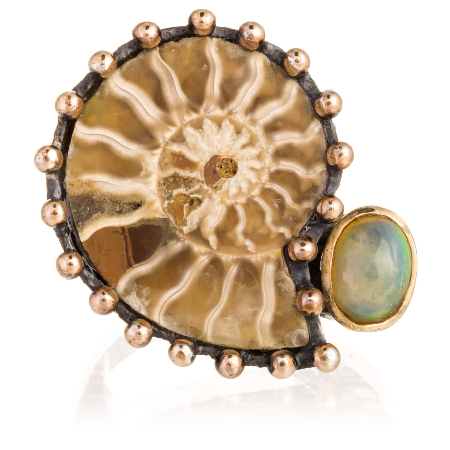 Anillo Ammonite Argi