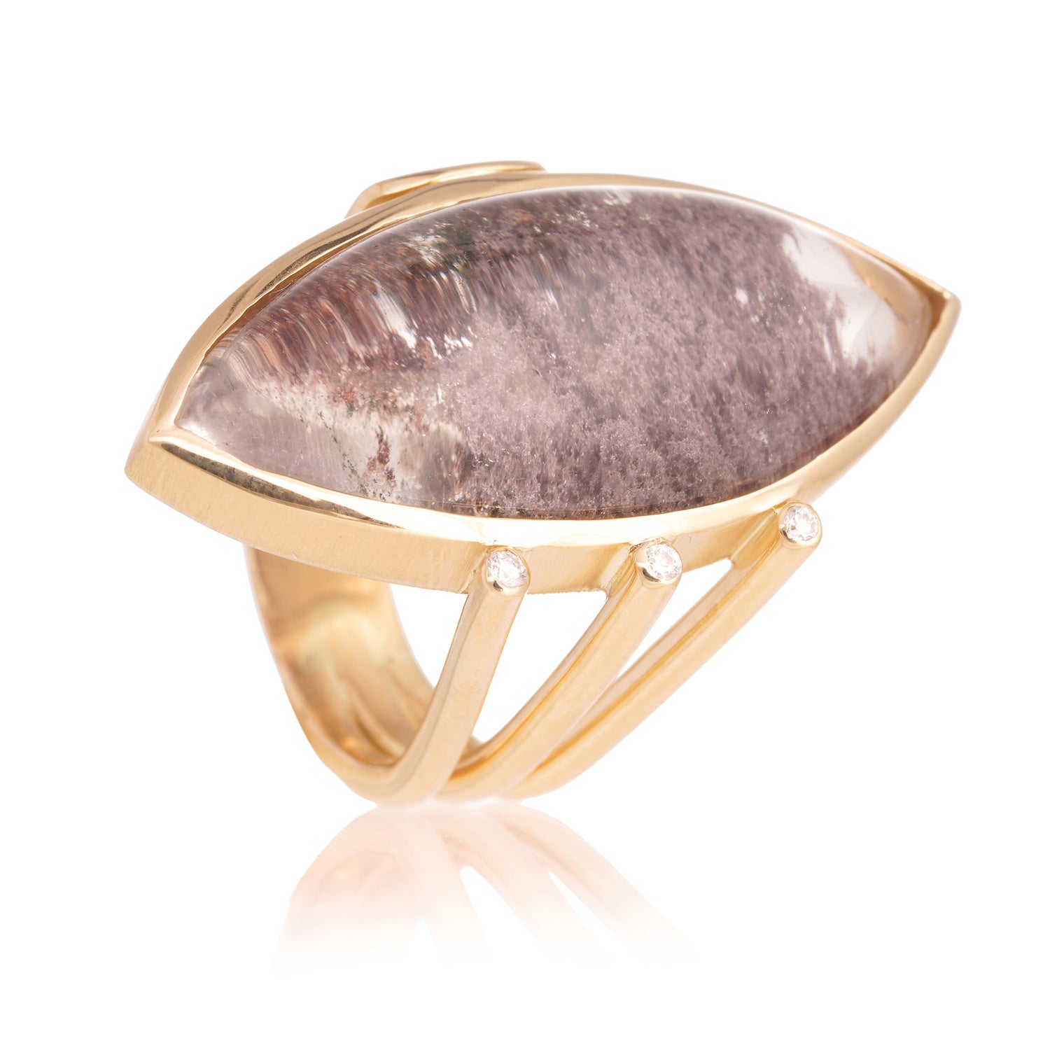 Anillo C. Lodo Garritas