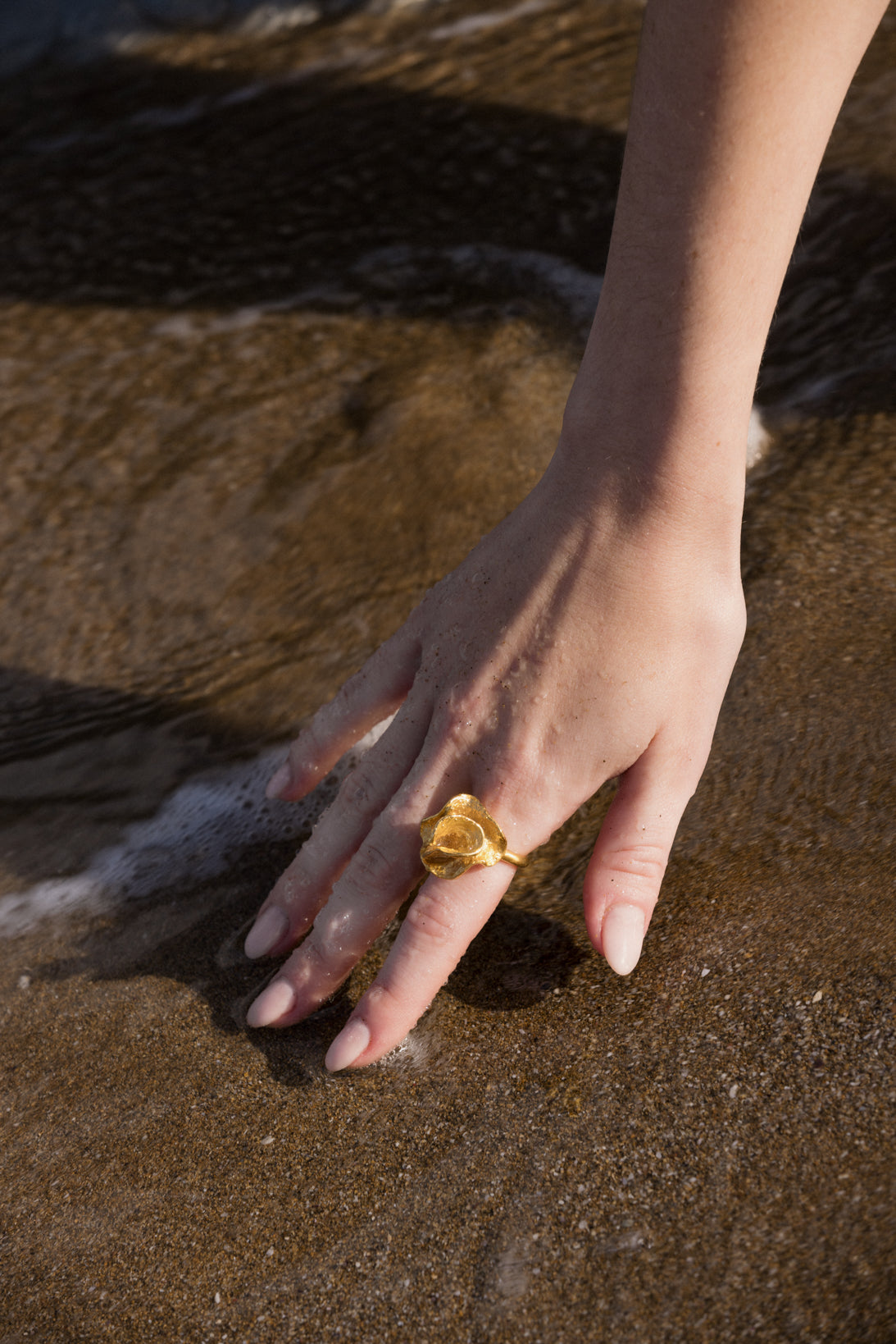 Anillo Organic